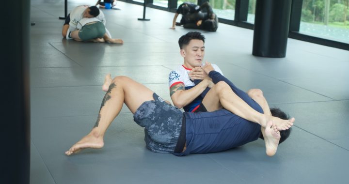 Guide pour la formation des débutants en no-gi pour BJJ