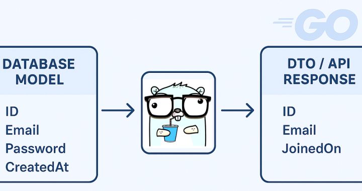 Développement d’installations efficaces de transfert de données (DTOS) dans les applications GO | par Gopher | Septembre 2025.