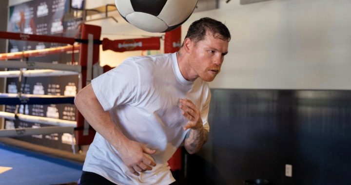 Maîtriser les mouvements du haut du corps en boxe pour une meilleure défense et un meilleur rythme
